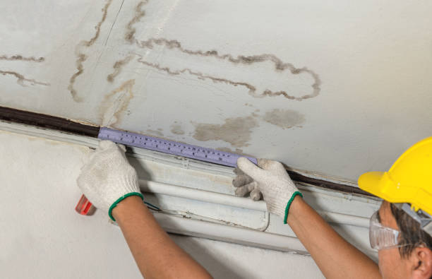 Reliable Water Damage contractor in Mecosta, MI by Water Damage Irwin